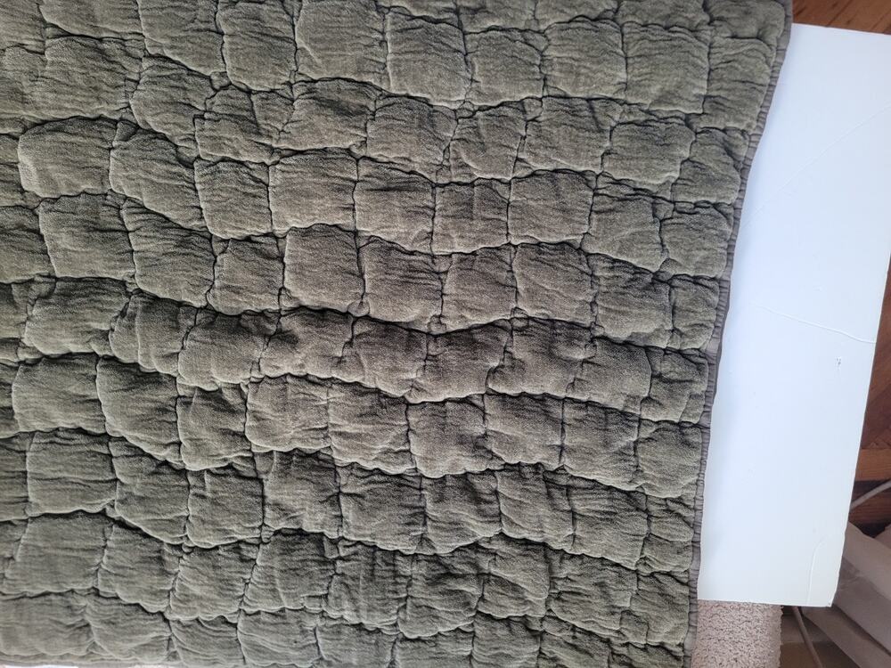 Pottery Barn Green Velvet Embroidered Shams Pair